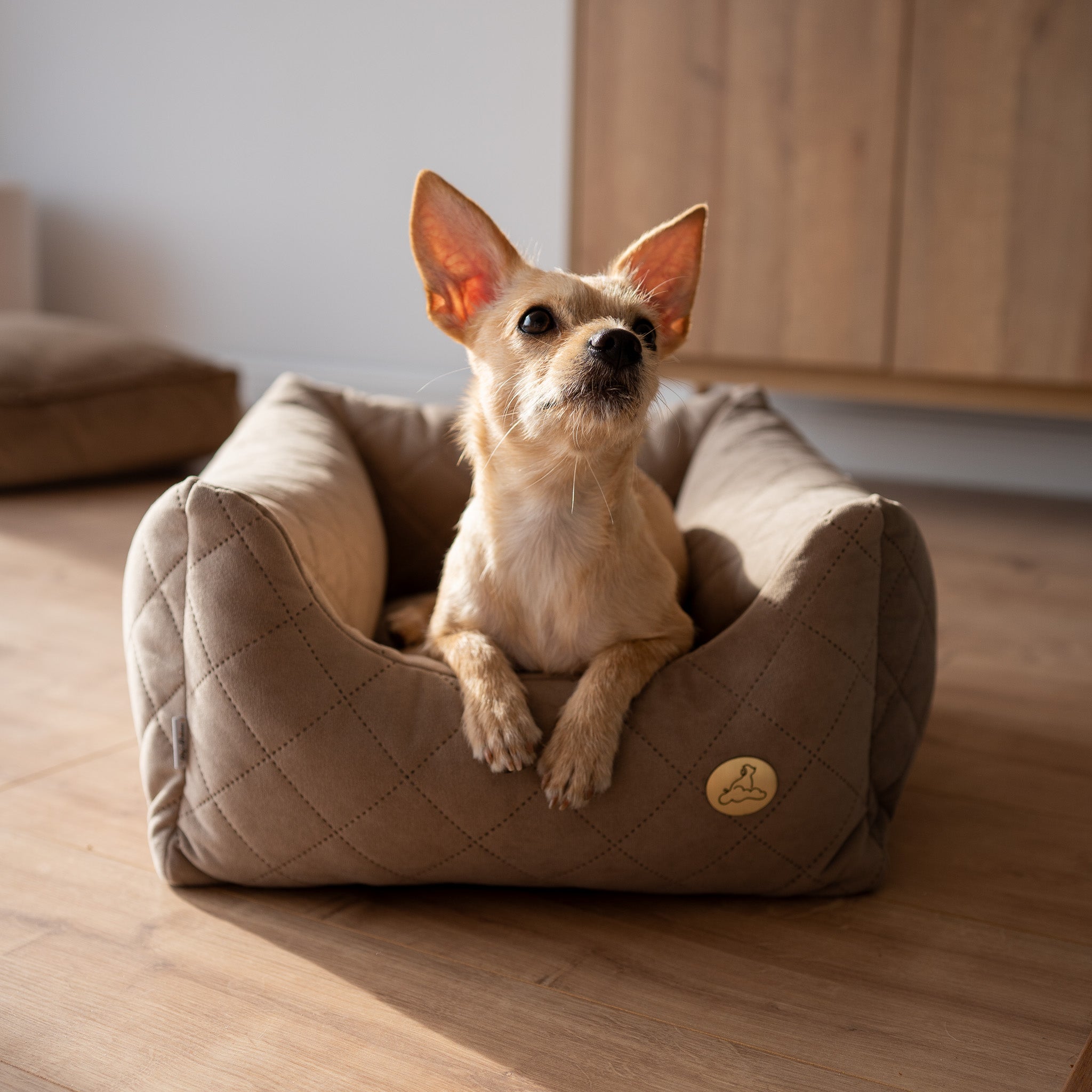Orthopdisches Hundebett COZY - Gre S  Dog's Dreams Store