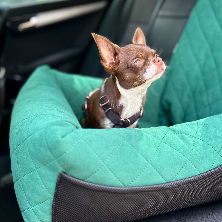 Autositz für Hunde