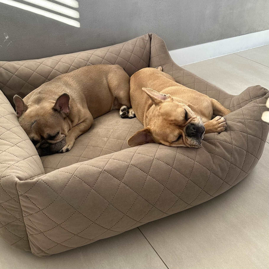 Velours Hundebett COZY - Größe L