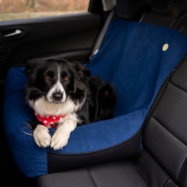 Großer Autositz für Hunde XL CORD